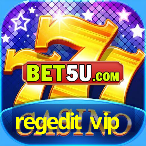 regedit vip